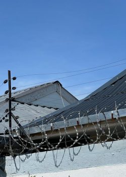 PHOTO-2023-05-25-20-21-15